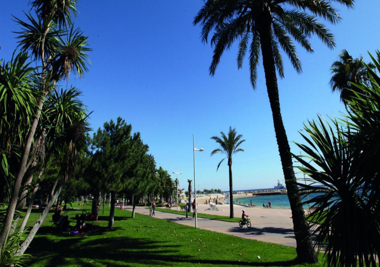 Canopee - Toulon Mourillon - 800M Des Plages Et Place De Parking Prive 외부 사진